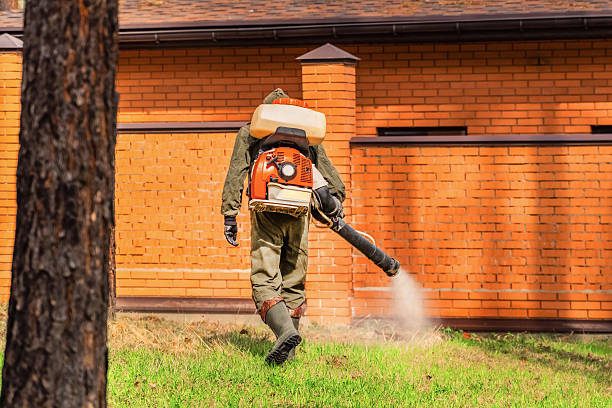 Trusted Emergency Pest Control service in Lincoln Park, NY - Nex Pest Control
